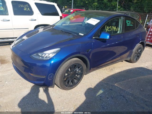 2021 TESLA MODEL Y 5YJYGDEE9MF061560 Photo 1