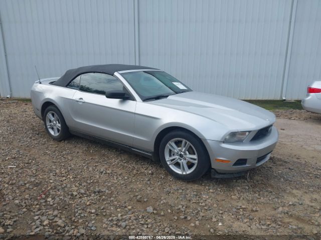 2010 FORD MUSTANG 1ZVBP8ENXA5119179