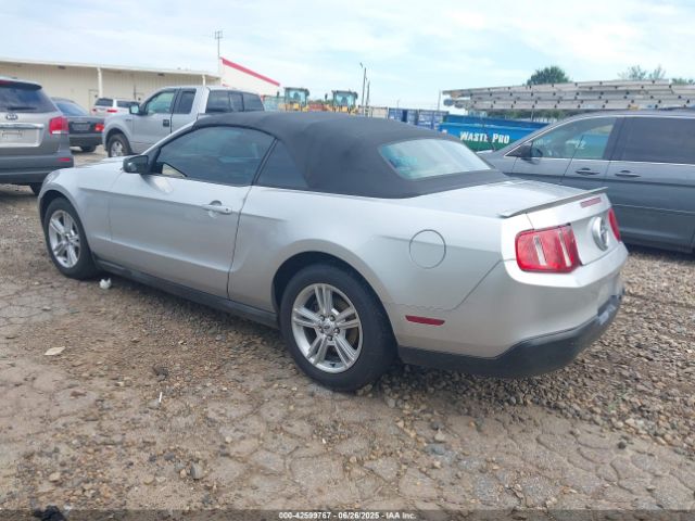 2010 FORD MUSTANG 1ZVBP8ENXA5119179 Photo 2