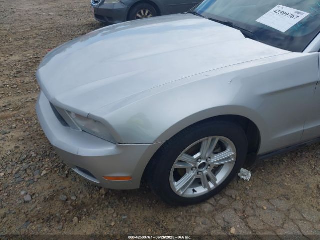 2010 FORD MUSTANG 1ZVBP8ENXA5119179 Photo 5