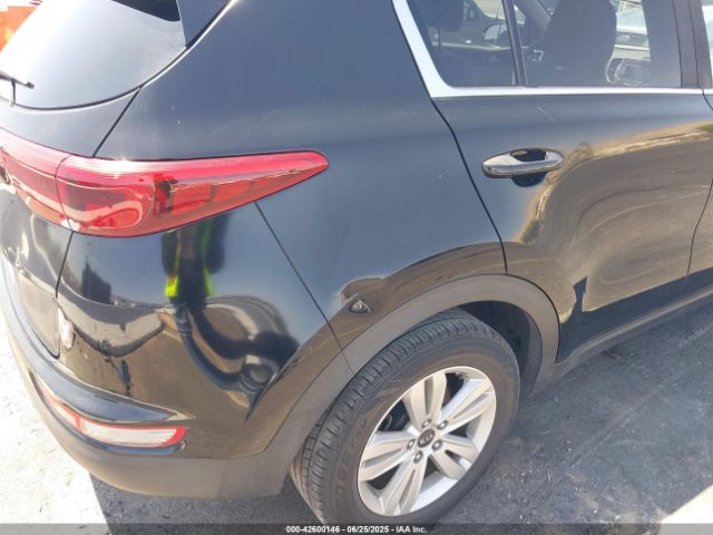 2017 KIA SPORTAGE KNDPM3AC5H7231427 Photo 5