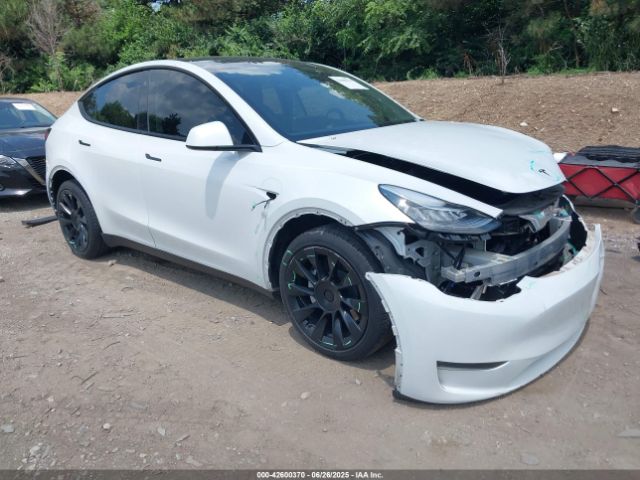 2023 TESLA MODEL Y 7SAYGDEE2PA035662