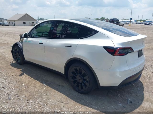 2023 TESLA MODEL Y 7SAYGDEE2PA035662 Photo 2