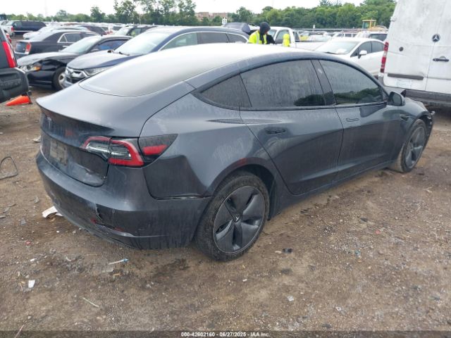 2021 TESLA MODEL 3 5YJ3E1EA3MF081976 Photo 3