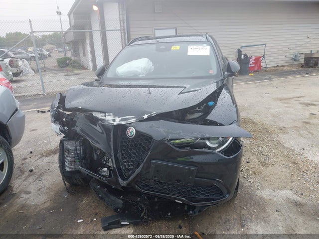 Alfa Romeo Stelvio 2021 ZASPAKBN1M7D16849 Image 13