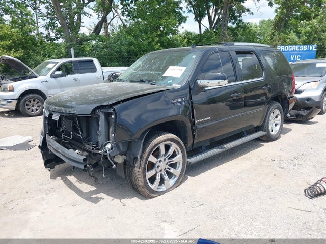 2013 CADILLAC ESCALADE 1GYS4CEF7DR229735 Photo 1