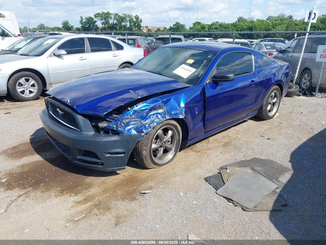 1ZVBP8AM8E5287552 Ford 2014