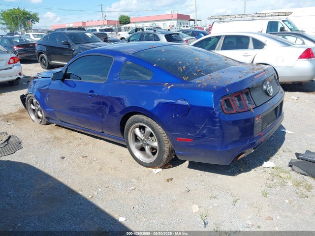 1ZVBP8AM8E5287552 Ford 2014