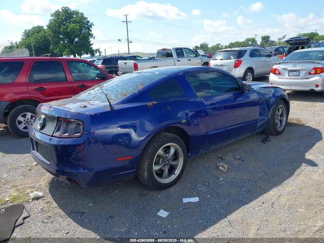 1ZVBP8AM8E5287552 Ford 2014