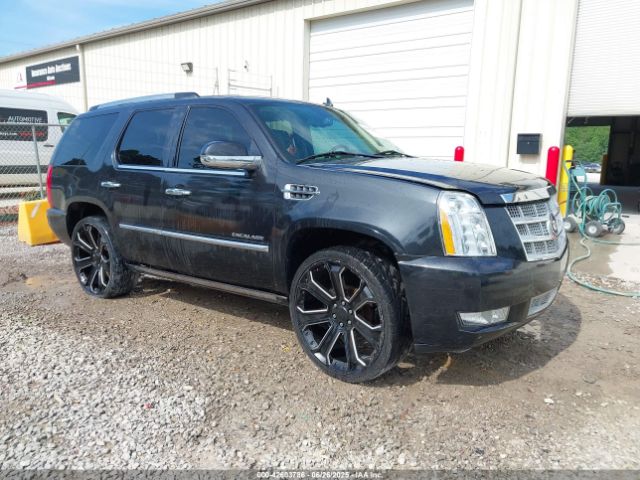 2010 CADILLAC ESCALADE 1GYUKDEF6AR267814