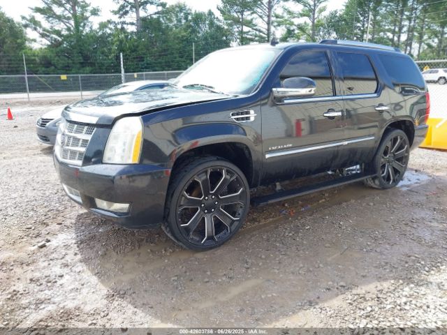 2010 CADILLAC ESCALADE 1GYUKDEF6AR267814 Photo 1