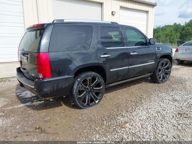 2010 CADILLAC ESCALADE 1GYUKDEF6AR267814 Photo 3