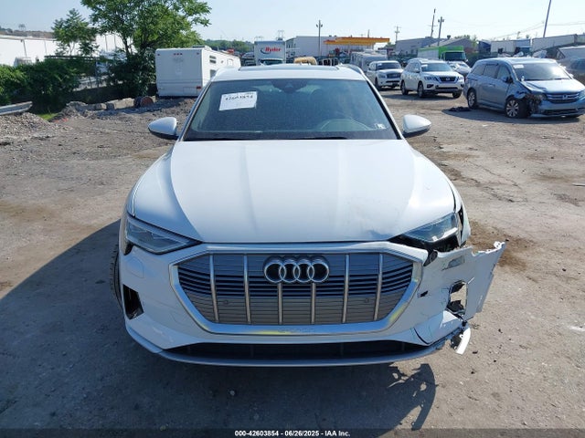 WA1AAAGE3MB009241 Audi E-Tron