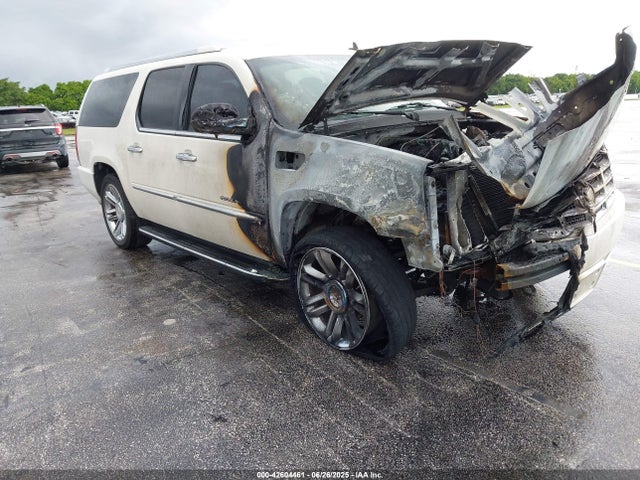 2009 CADILLAC ESCALADE ESV 1GYFC16249R126008 Photo 5