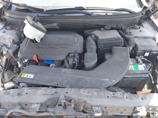 5NPE24AF8HH443828 Hyundai 2017