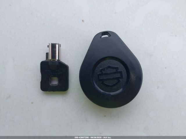 2023 HARLEY-DAVIDSON FLHTKANV 1HD1AGF12PB655252 Photo 10