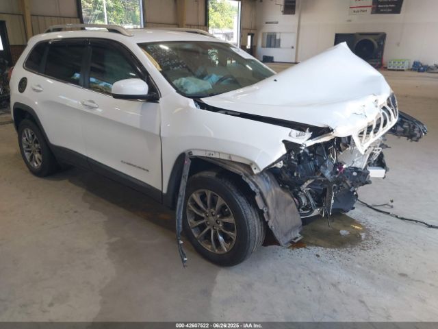 2019 JEEP CHEROKEE 1C4PJLLB9KD308256