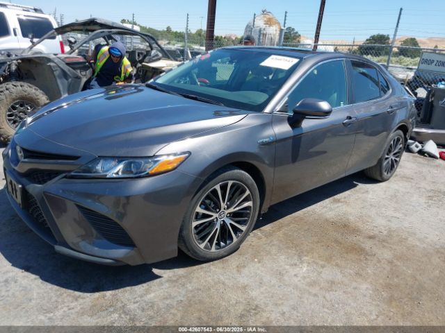 2020 TOYOTA CAMRY 4T1J31AK4LU524262 Photo 1