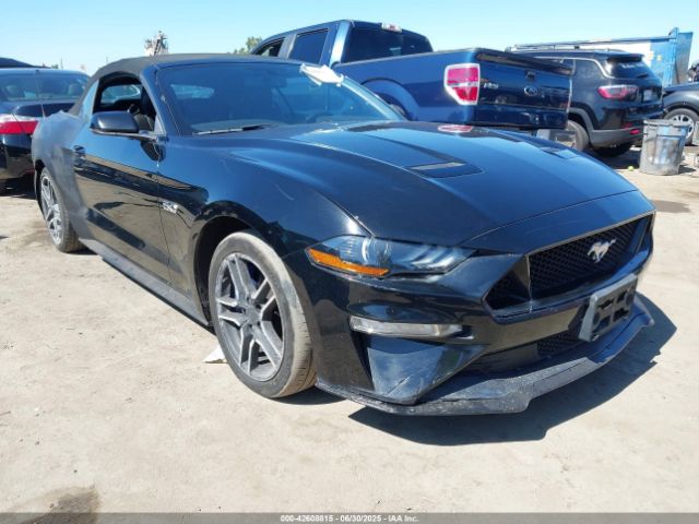 2019 FORD MUSTANG 1FATP8FF5K5193437