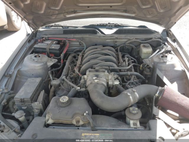 2006 FORD MUSTANG 1ZVFT82H665220366 Photo 9