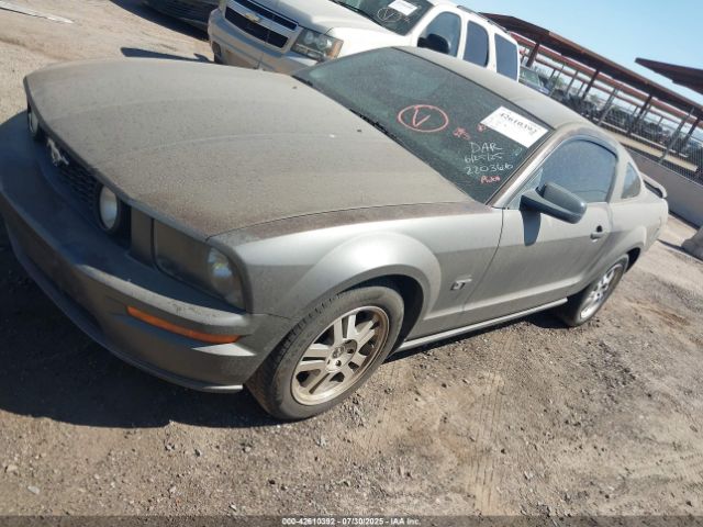 2006 FORD MUSTANG 1ZVFT82H665220366 Photo 1