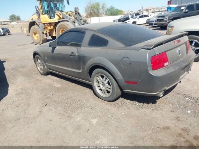 2006 FORD MUSTANG 1ZVFT82H665220366 Photo 2