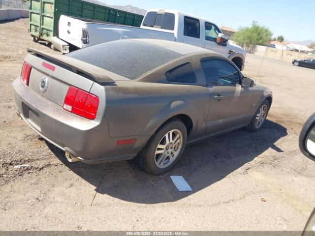 2006 FORD MUSTANG 1ZVFT82H665220366 Photo 3