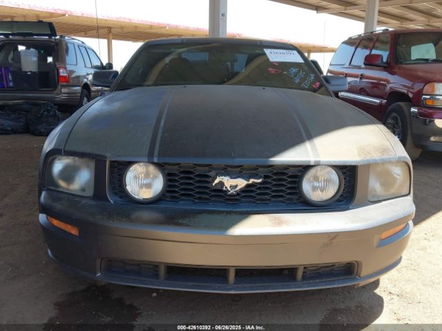 2006 FORD MUSTANG 1ZVFT82H665220366 Photo 5