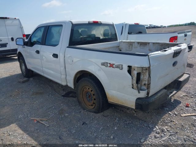 2019 FORD F-150 1FTEW1EB3KFB24140 Photo 2