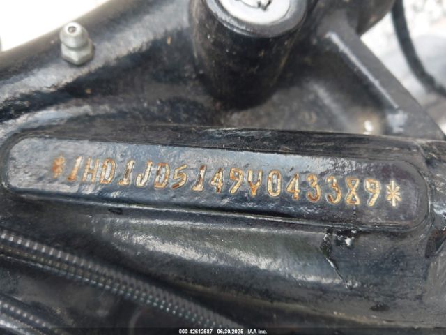 2009 HARLEY-DAVIDSON FLSTN 1HD1JD5149Y043389 Photo 9