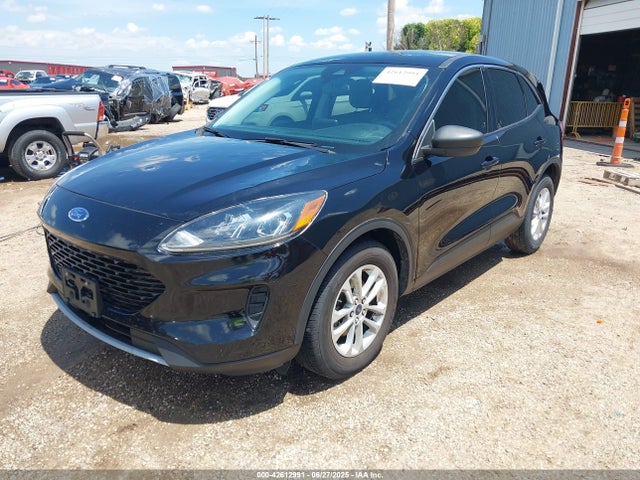 Ford dragon di tc 2022 1FMCU0G64NUA46194 Image 2