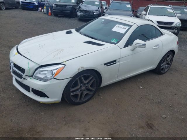 2013 MERCEDES-BENZ SLK 250 WDDPK4HA7DF053204 Photo 1