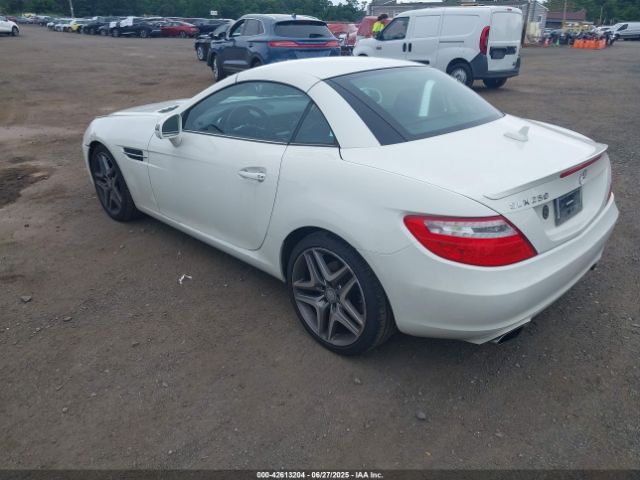 2013 MERCEDES-BENZ SLK 250 WDDPK4HA7DF053204 Photo 2