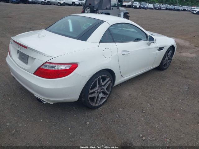 2013 MERCEDES-BENZ SLK 250 WDDPK4HA7DF053204 Photo 3