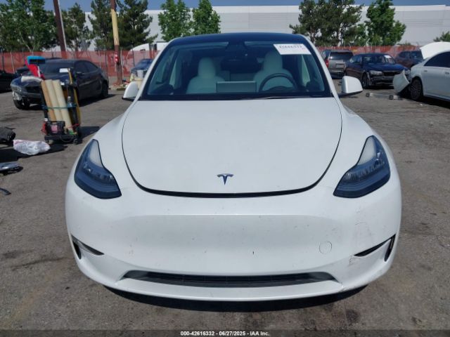 5YJYGDEE7MF269498 Tesla 2021