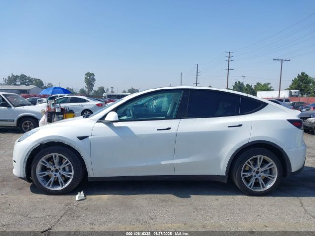 5YJYGDEE7MF269498 Tesla 2021