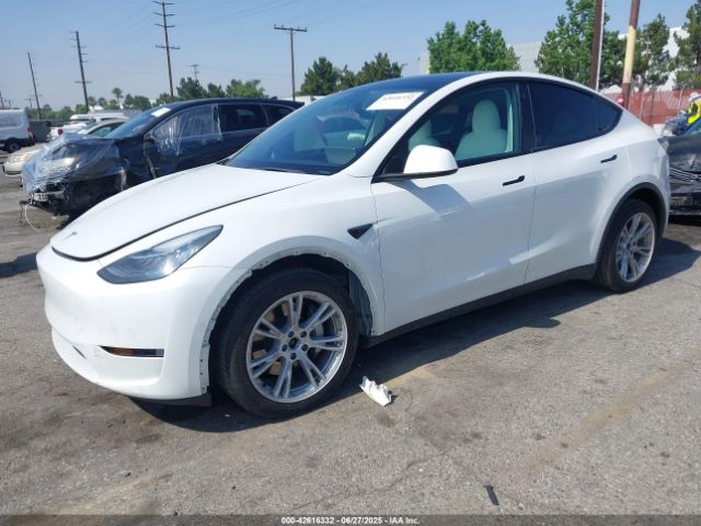 5YJYGDEE7MF269498 Tesla 2021
