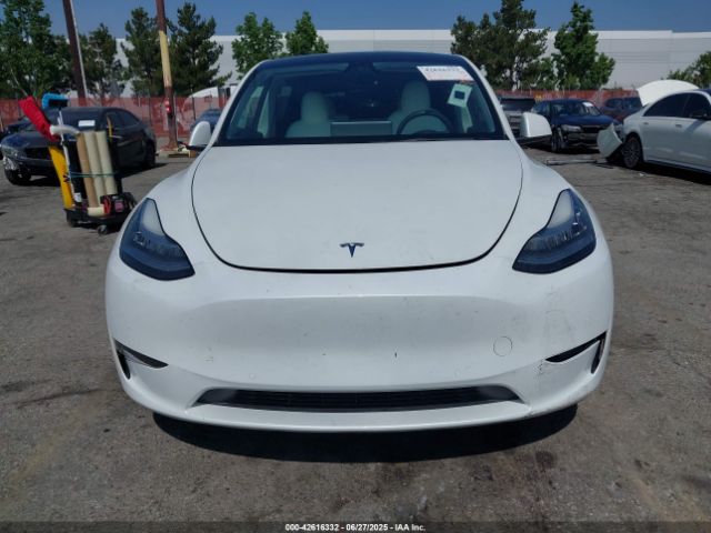 5YJYGDEE7MF269498 Tesla 2021