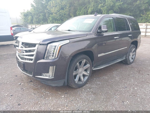 2016 CADILLAC ESCALADE 1GYS4BKJ3GR241114 Photo 1
