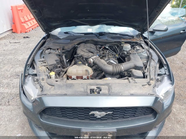 1FA6P8AM9G5241273 Ford Mustang