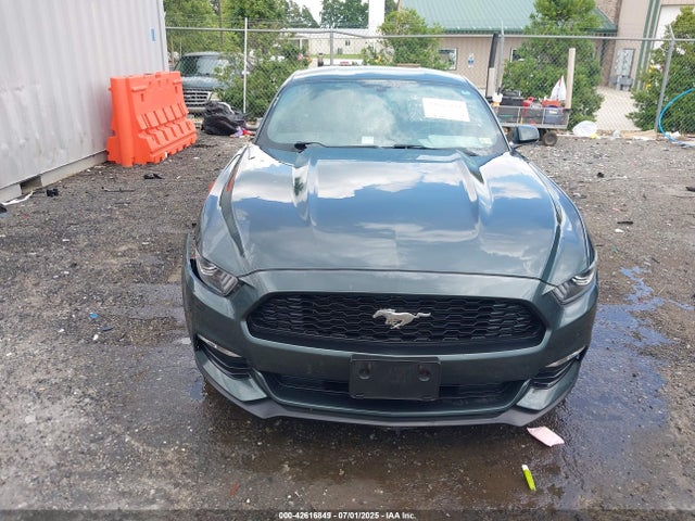1FA6P8AM9G5241273 Ford Mustang