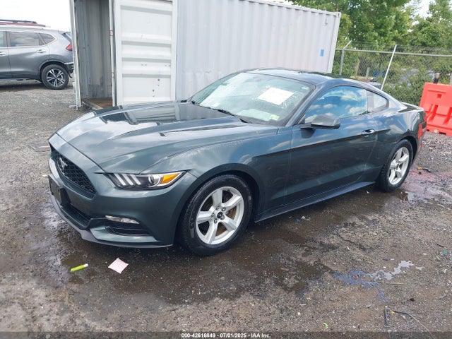 1FA6P8AM9G5241273 Ford Mustang