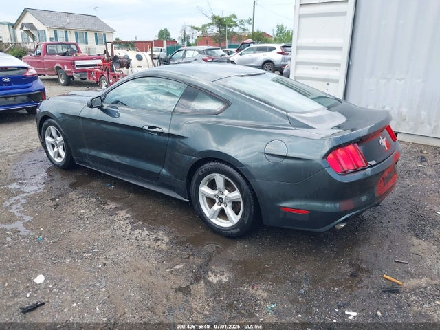 1FA6P8AM9G5241273 Ford Mustang