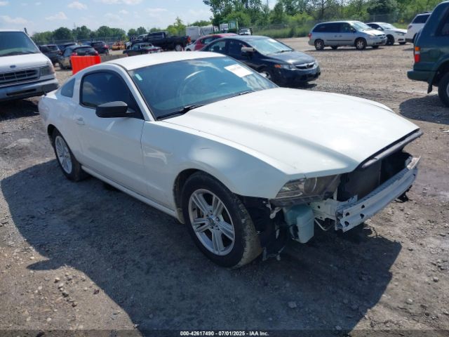 2013 FORD MUSTANG 1ZVBP8AM5D5265880