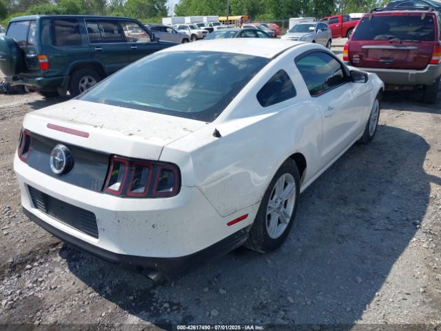 2013 FORD MUSTANG 1ZVBP8AM5D5265880 Photo 3