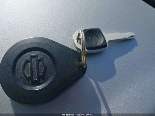 2018 HARLEY-DAVIDSON FLSB 1HD1YMJ69JC031110 Photo 10