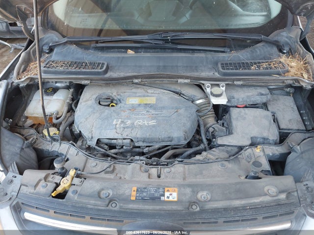 1FMCU9GX1EUA28135 Ford 2014