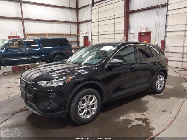 Ford dragon gtdi 2024 1FMCU0GN3RUA24782 Image 2