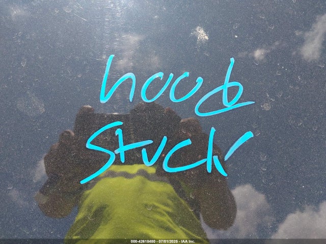 2021 TESLA MODEL 3 5YJ3E1EBXMF960528 Photo 9