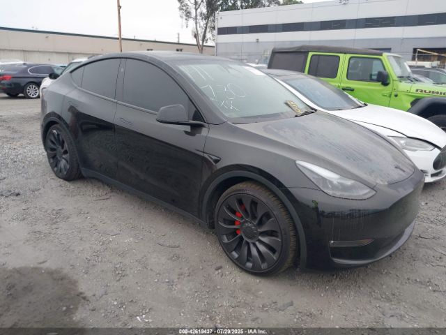 2023 TESLA MODEL Y 7SAYGDEF5PF823444